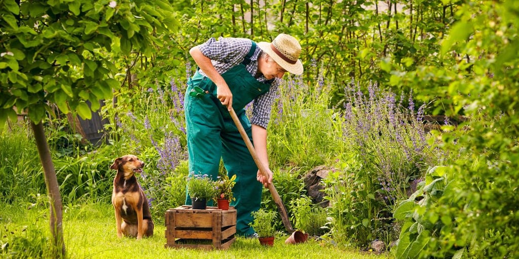Eine falsche Körperhaltung kann die Gartenarbeit zur Qual machen und auf den Rücken gehen.