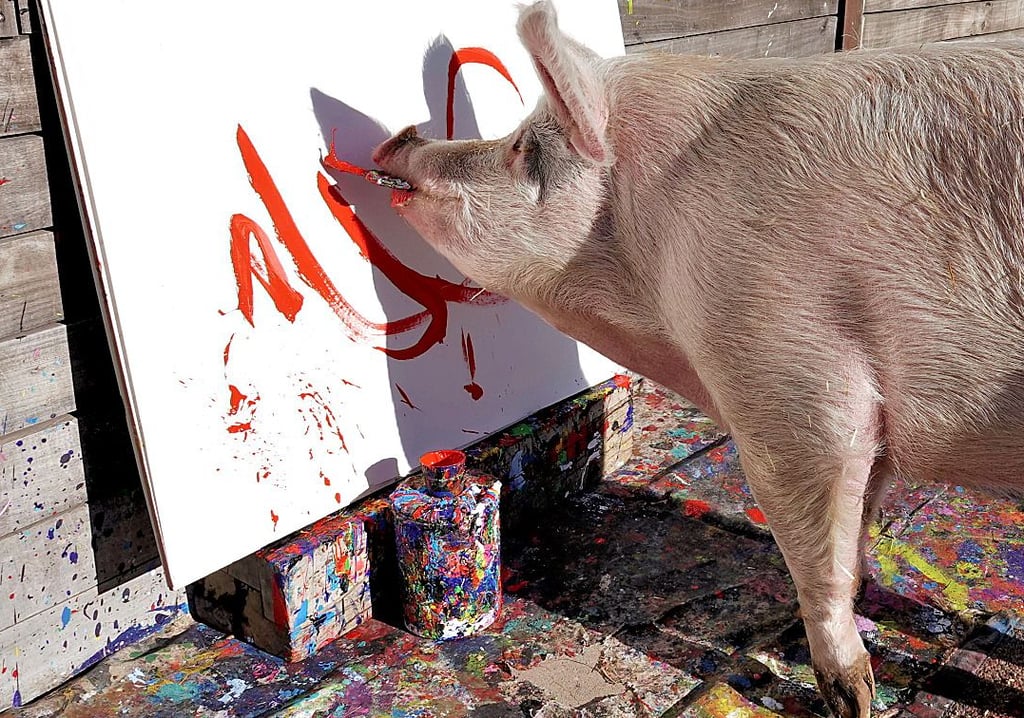 Pigcasso bei der Arbeit: Einen Einblick in ihr Schaffen gibt demnächst eine Ausstellung in Hannoversch Münden – beziehungsweise die Seite https://pigcasso.org/