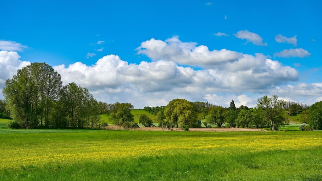 Landschaft am Rande des Oderbruchs. Die Kulturlandschaft trägt nun das Kulturerbe-Siegel.