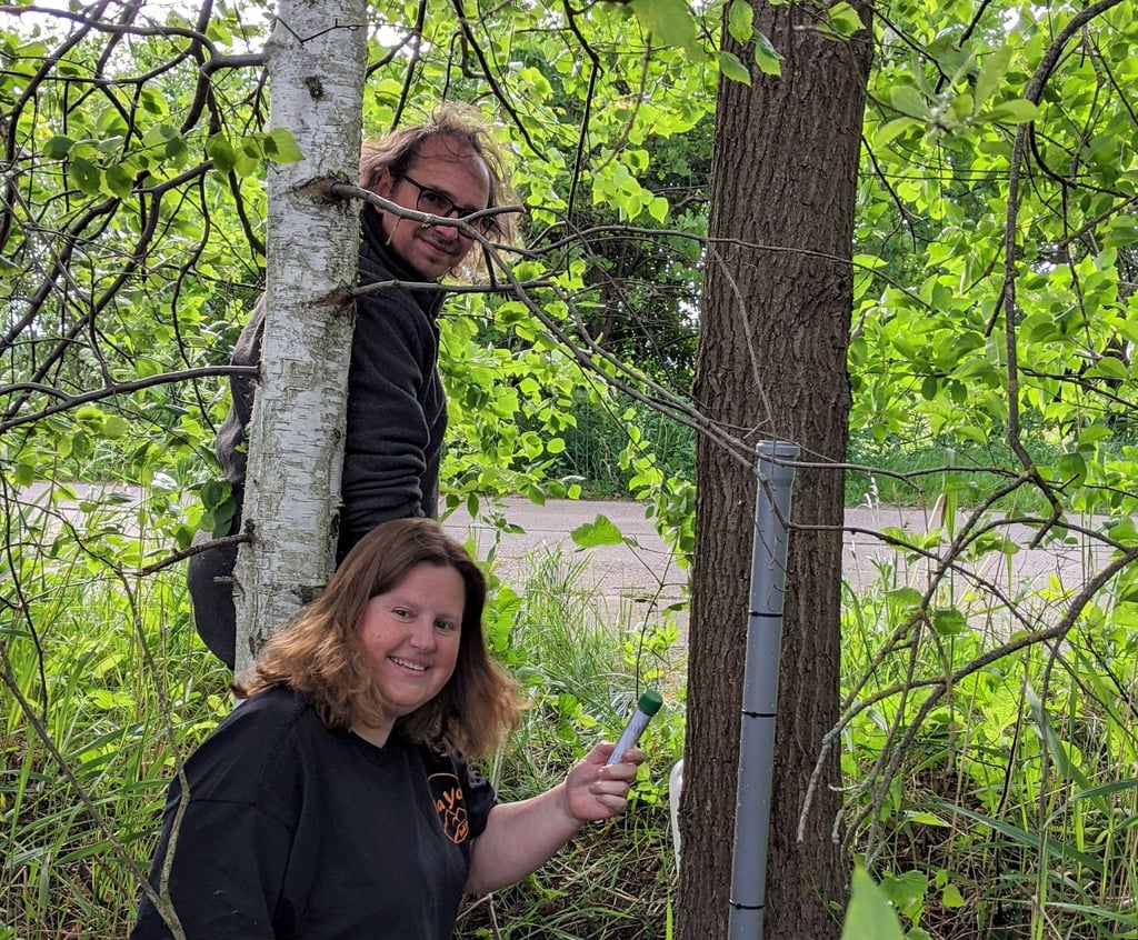 Antje Scalabrin-Kiupel und ihr Mann Thorsten Scalabrin haben im Drömling einen neuen Cache eingerichtet.