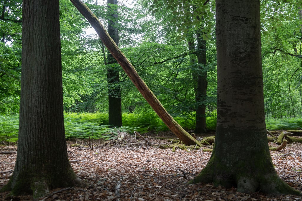 Serhat Kocak/dpaCbfP4c7syd9rD2iB45coc5hok95