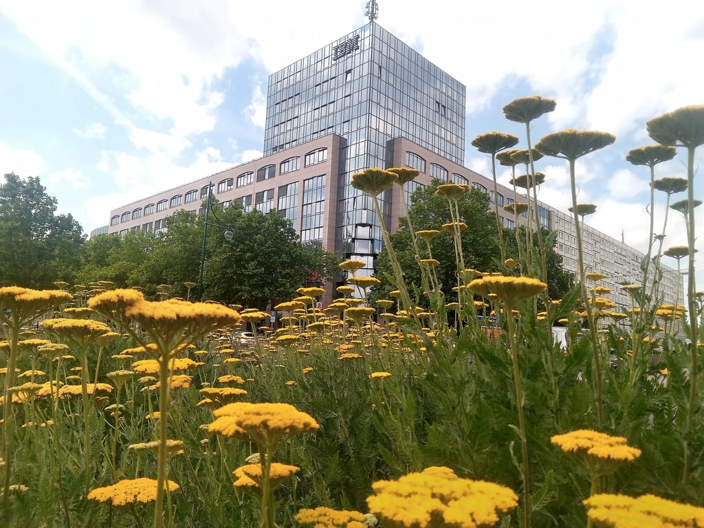 Im Universitätsplatz 12 in Magdeburg werden 150 neue Arbeitsplätze geschaffen.