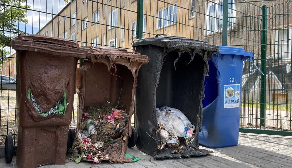 Insgesamt 20 Mülltonnen in einer Nacht wurden in der Neuen Neustadt von Unbekannten in Brand gestezt.