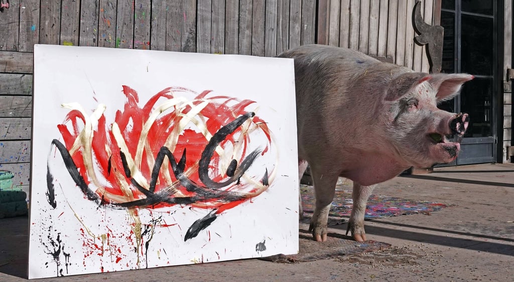 Die Künstlerin und ihr Werk: Pigcasso, ein malendes Schwein aus Südafrika.