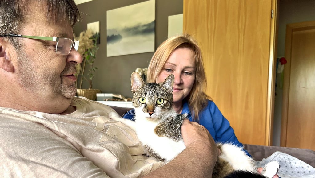 Der Katze Stanley wurde mit einer angespitzten Diabolo-Kugel in den Kopf geschossen. Manuela Blume und Andreas Dobbert sind fassungslos.