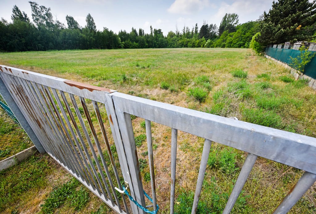 Der ehemaliger Sportplatz am Silbersee soll zu einer Hundewiese umfunktioniert werden.