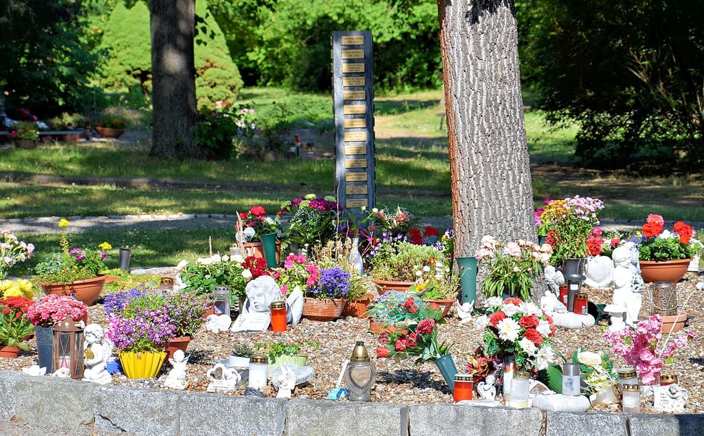 Die halbanonyme Gemeinschafts-Urnenanlage auf dem Neuen Friedhof in Güsten.