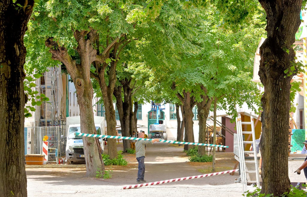Letzte Hand wird beim Aufbau für das Lindenblütenfest in den Franckeschen Stiftungen angelegt - hier für die Bühne im Lindenhof.