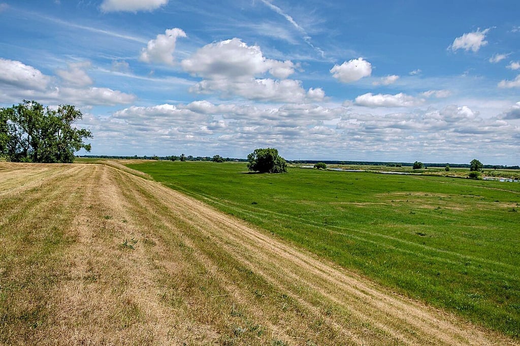 Spuren der Trockenheit sind auch in der Nähe von Gewässern, wie hier an der Elbe, zu sehen.