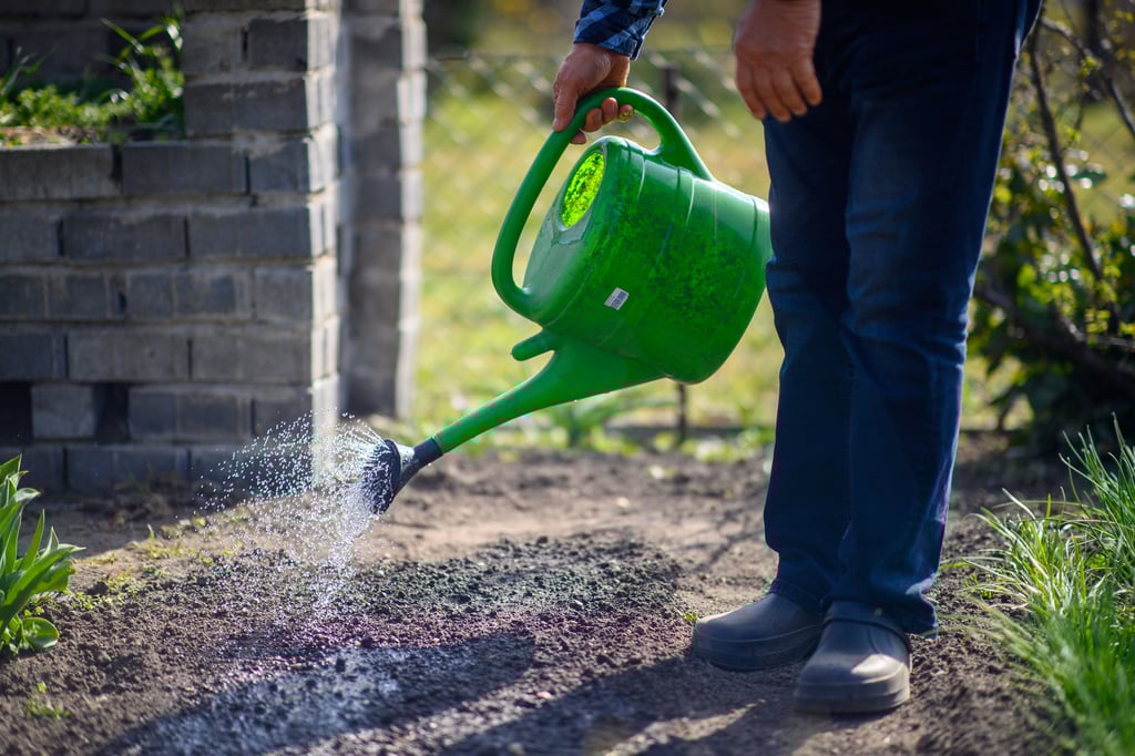 Wasser aus offenen gewässern ist tabu.