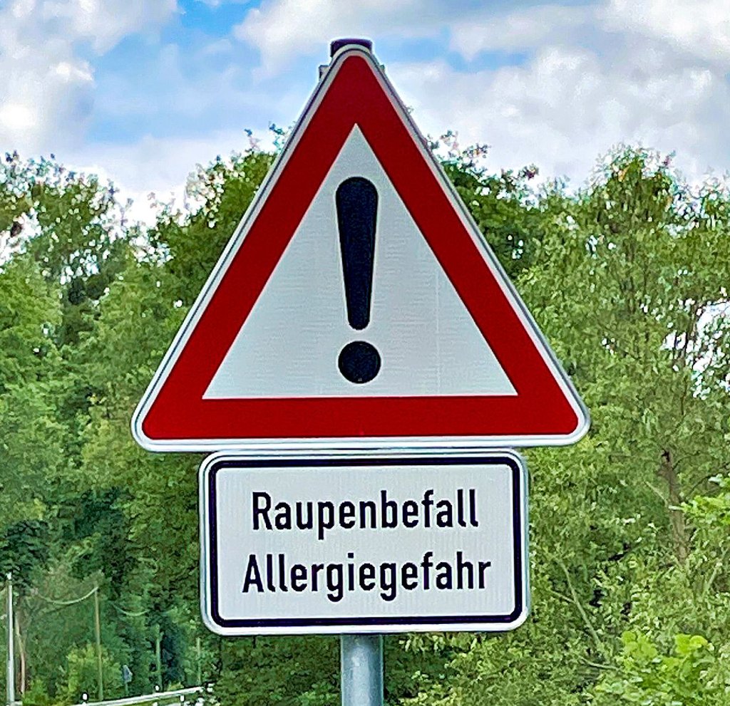 Raupen mit Brennhaaren sorgen für Gesundheitsgefahren. Daruf wird an verschiedenen Straßen, hier bei Gorsdorf, hingewiesen.