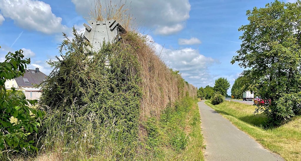Die alte Lärmschutzwand an der B71/Haldensleber Straße in Ebendorf soll durch ein neues Bauwerk ersetzt werden.