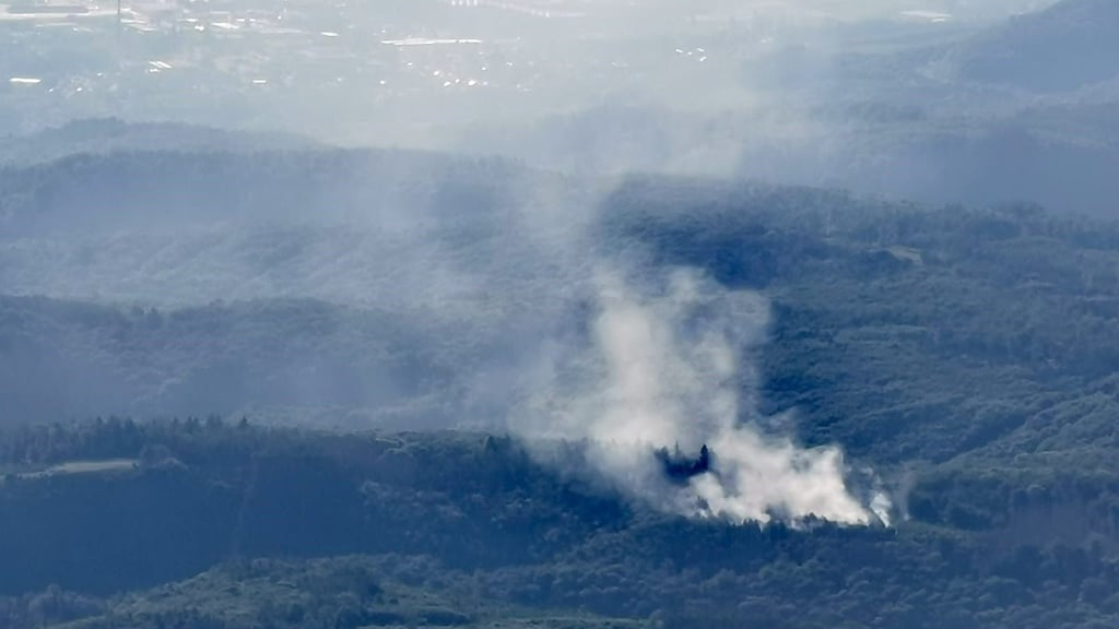 Weshalb das Feuer im Harz um kurz nach Mitternacht ausbrach, ist bislang noch unklar. Vermutet wird aber fahrlässige Brandstiftung.