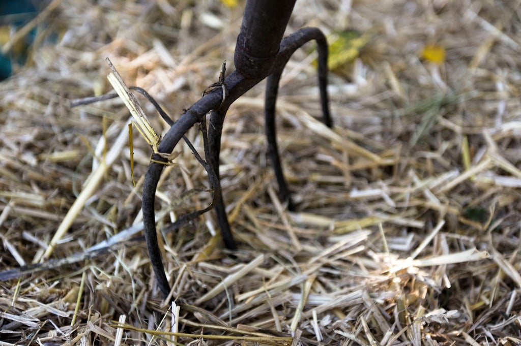 Eine MIstgabel (Symbolbild)
