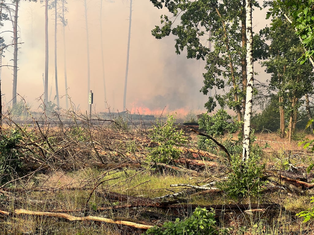 Flammen sind Waldstück bei einem Waldbrand zu sehen. Die vom Waldbrand in Treuenbrietzen nahe Berlin betroffene Fläche hatte sich in der Nacht zum Sonntag ausgedehnt.