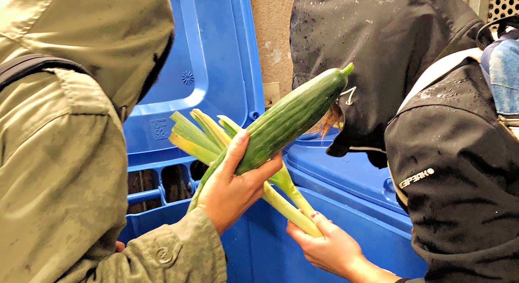 Zwei Studenten holen sich noch essbares Gemüse aus einer Tonne. Doch warum werden eigentlich so viel Lebensmittel weggeworfen, und ist es Diebstahl, wenn bereits Entsorgtes wieder aus der Tonne geholt wird?