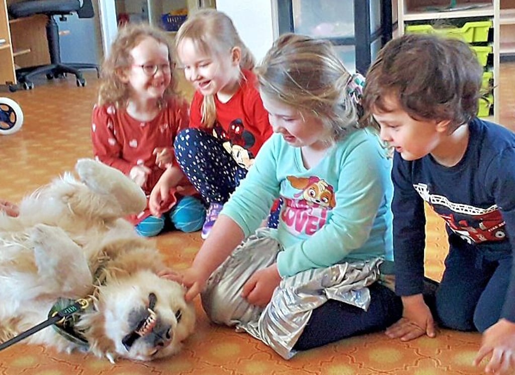 Besuchshund Anton fühlt sich bei den Kindern im Zuckerdorf pudelwohl, auch wenn er eigentlich ein echter Golden Retriever ist.