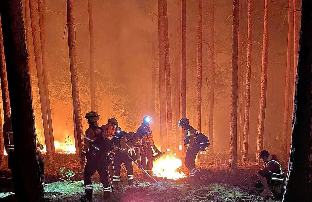 Die ganze Nacht kämpften die Retter gegen die Flammen im Wald.
