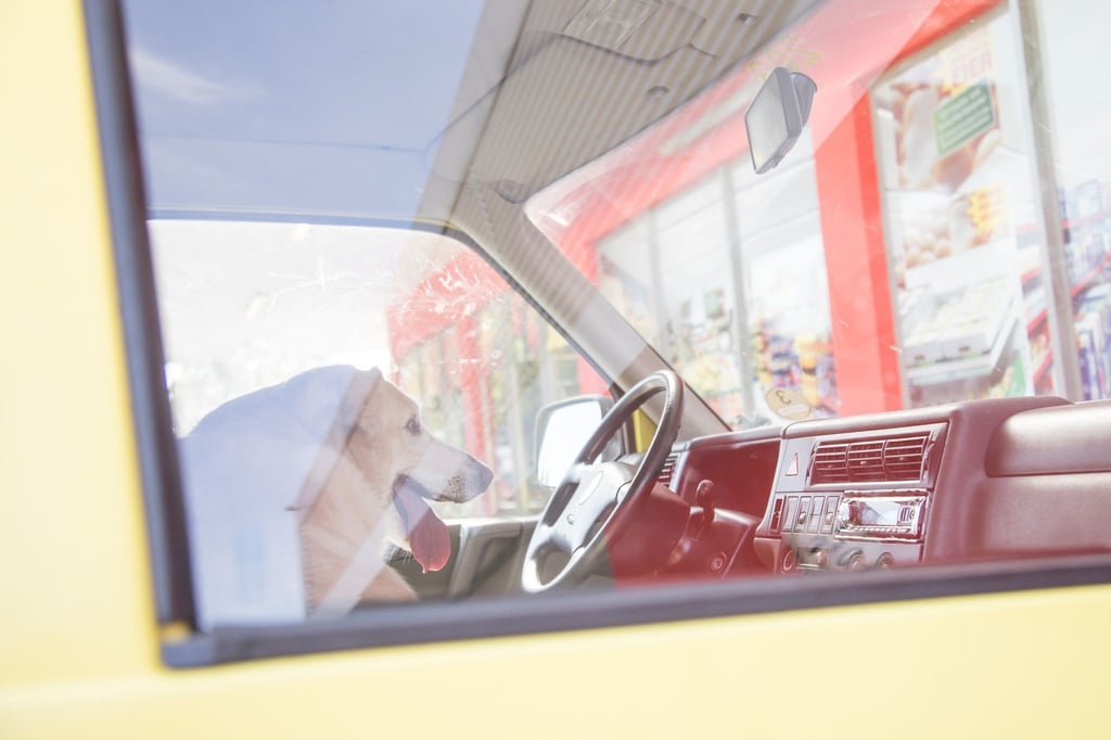 Gefährliches Gefängnis: Werden Kinder und Tiere im Sommer im Auto zurückgelassen, kann der sich aufheizende Innenraum schnell zur Gefahr werden.