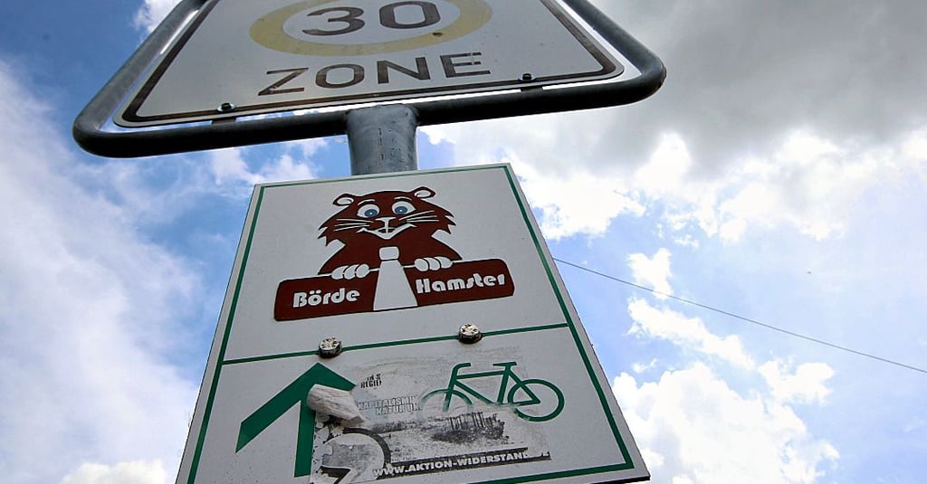 Calbe ist fahrradfreundliche Kommune und investiert viel in die Infrastruktur für den Radverkehr.
