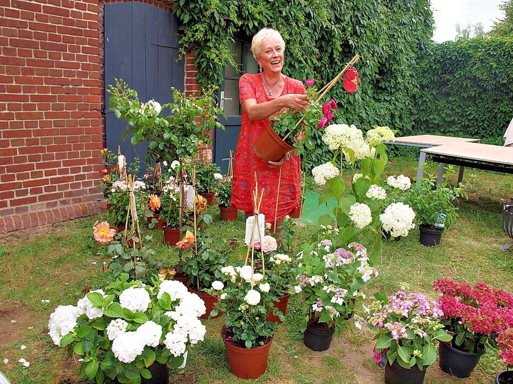 Gartenberaterin Heike Rindt präsentierte ihre Rosen und Hortensien auf dem Neulinger Landhof.