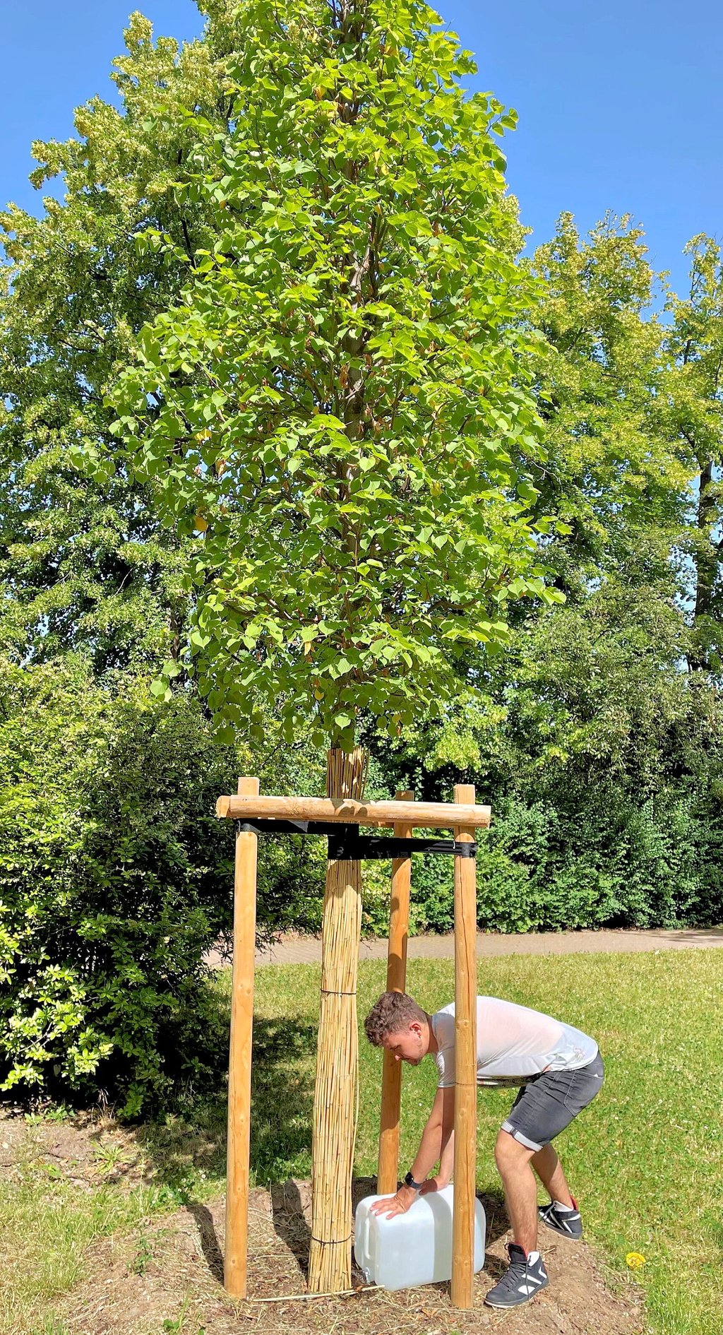 Handeln statt reden: Franziskus Röhler hat die zwei neu gepflanzten Linden am Zeitzer Lindenplatz bewässert. 25 Liter pro Baum sind erst einmal eine kleine Unterstützung in heißer Zeit.