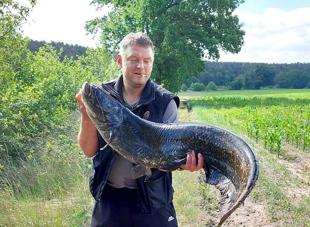 Christoph Dörnbrack präsentiert den Wels, der sich auf dem Foto noch kräftig zu wehren versucht.