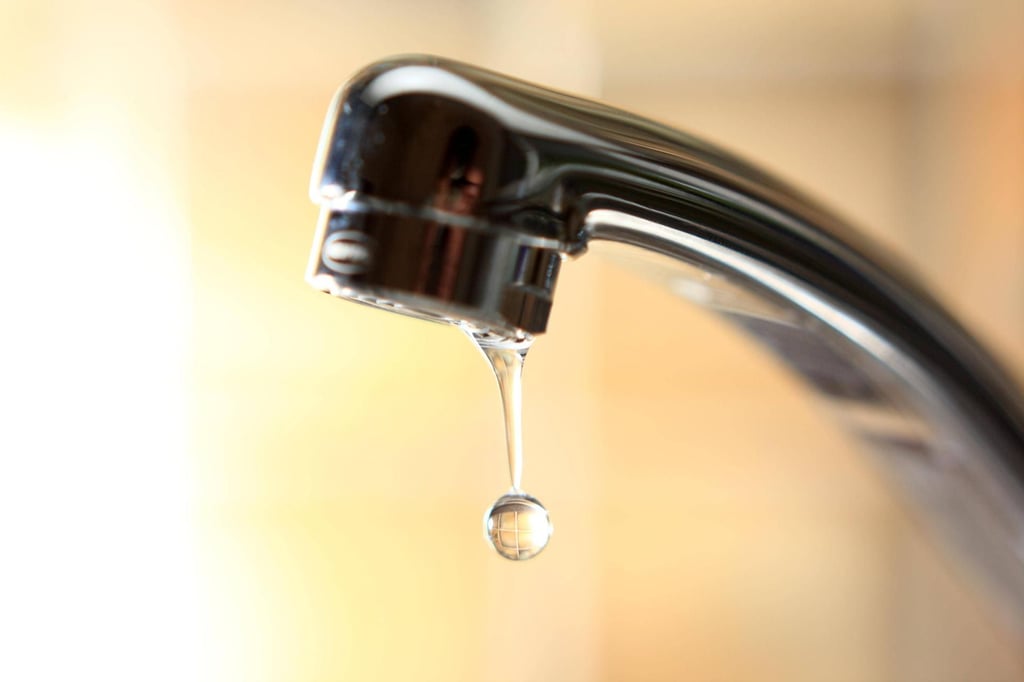 In Sachsen-Anhalt wird das Wasser knapp. Einige Landkreise haben bereits Einschränkungen bei der Entnahme erlassen.
