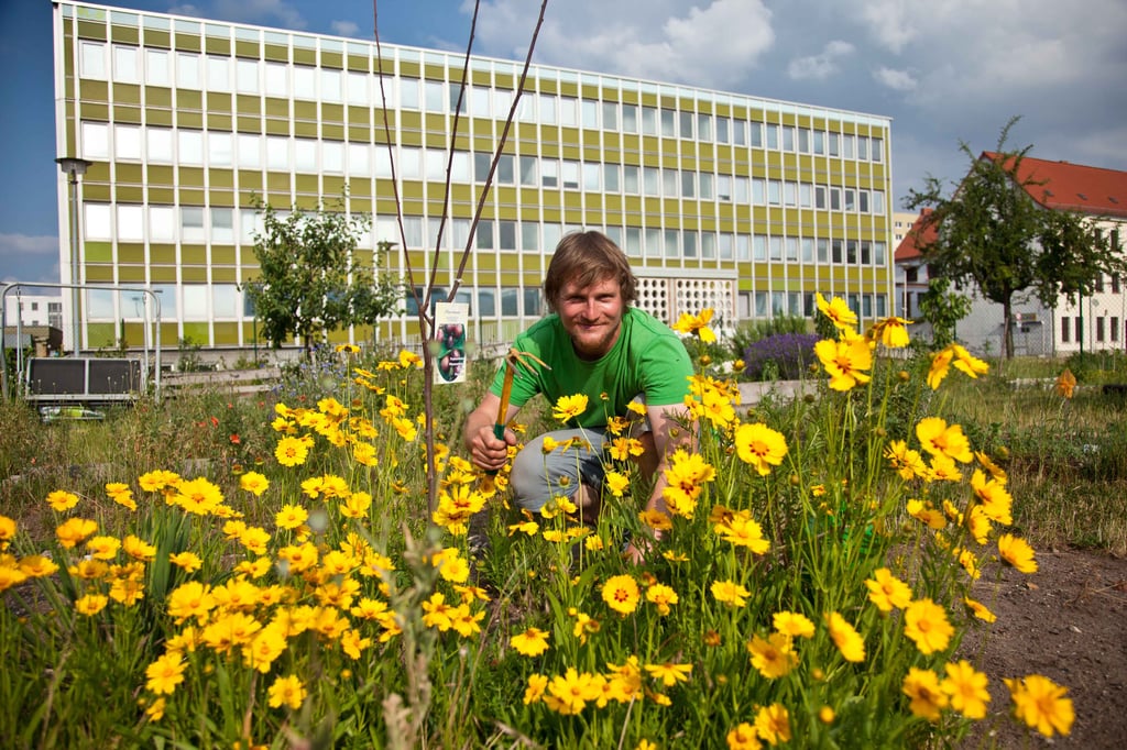 Projektleiter Sebastian Essig ist von Anfang an Mitglied im Interkulturellen Garten in Magdeburg Neustadt. Er blüht während der Gartenarbeit auf.