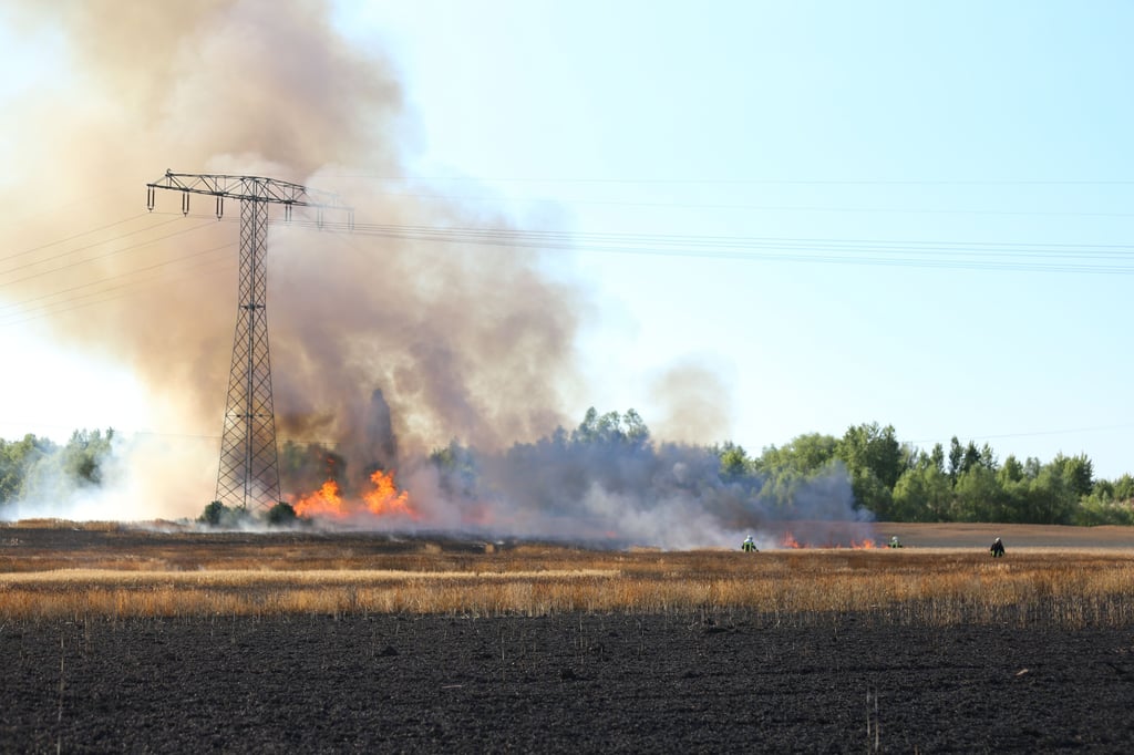 Warum brennt in Leuna die Flamme?