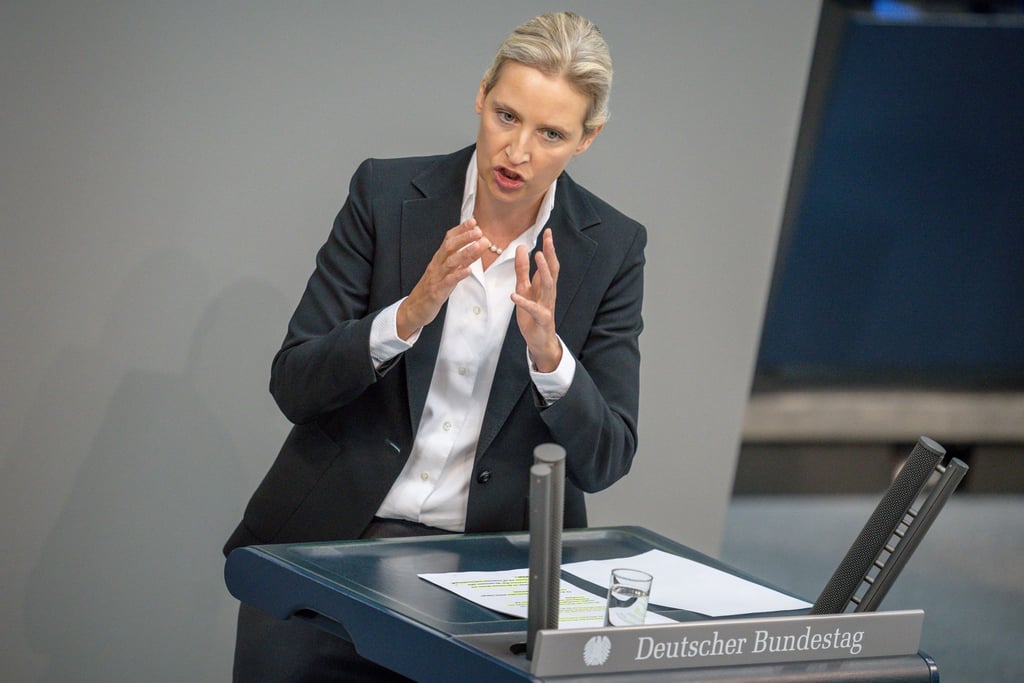 AfD-Fraktionsvorsitzende Alice Weidel bei einer Rede im Bundestag.