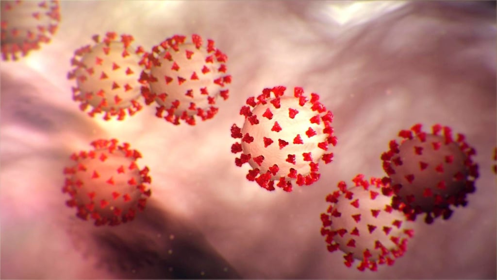 Der Corona-Virus (Illustration)