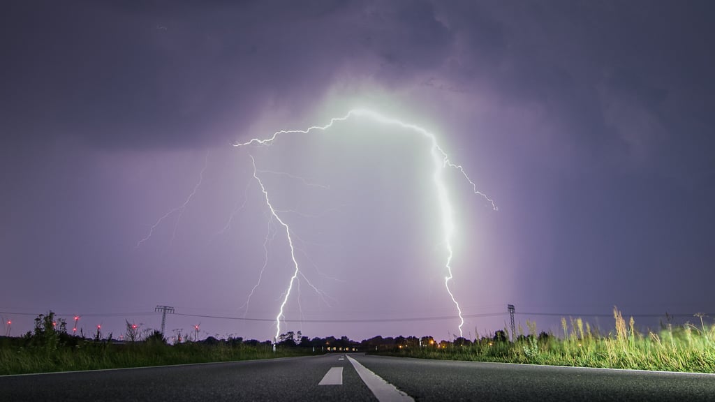 Bei einem Gewitter in der Nähe der kalifornischen Metropole Los Angeles sind eine Frau und ihre beiden Hunde vom Blitz getroffen und tödlich verletzt worden.