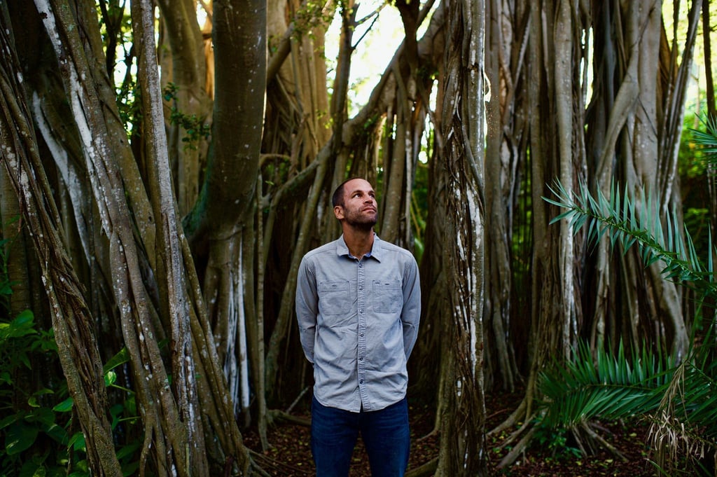 Mit viel Sommerflair: „Meet The Moonlight“ von Jack Johnson.