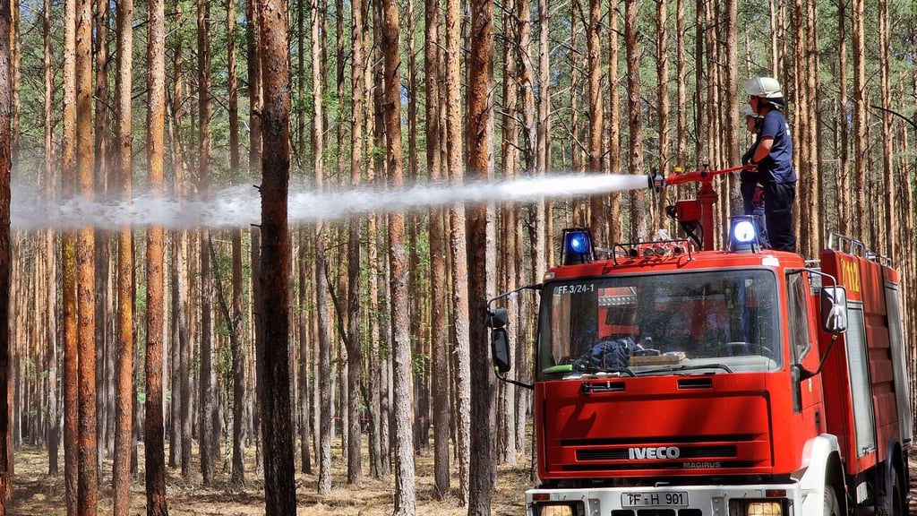 Die Feuerwehr löscht nach Waldbränden Glutnester.