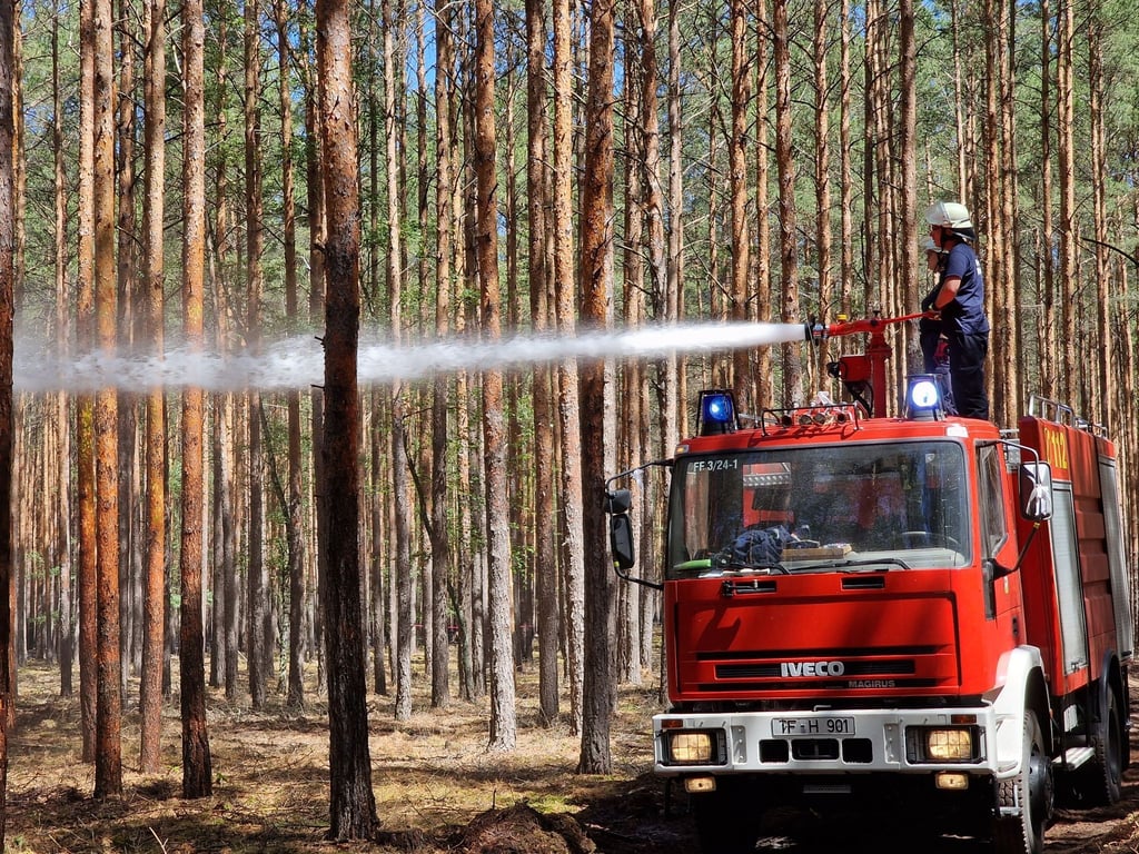 Die Feuerwehr löscht nach Waldbränden Glutnester.