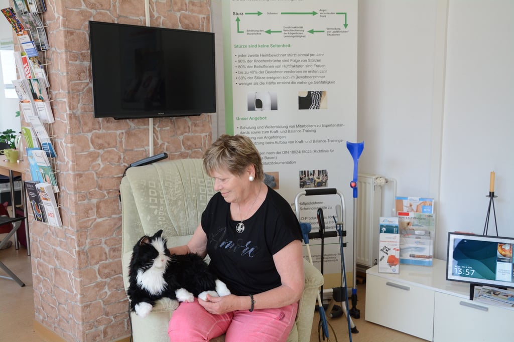 Ein besonderer Hingucker ist bei der Musterausstellung in Magdeburg eine Roboter-Katze. Christina Fiedler hilft als ehrenamtliche Mitarbeiterin den Besuchern, mit der Technik zurechtzukommen