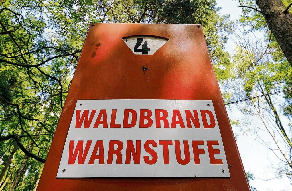 Im Burgenlandkreis herrscht hohe Waldbrandgefahr.
