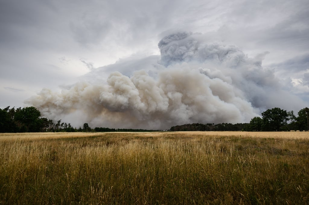 Rauch steigt aus einem Waldbrandgebiet in der Gohrischheide in den Himmel. In der Gohrischheide an der Landesgrenze zu Brandenburg bekämpft die Feuerwehr einen größeren Waldbrand.