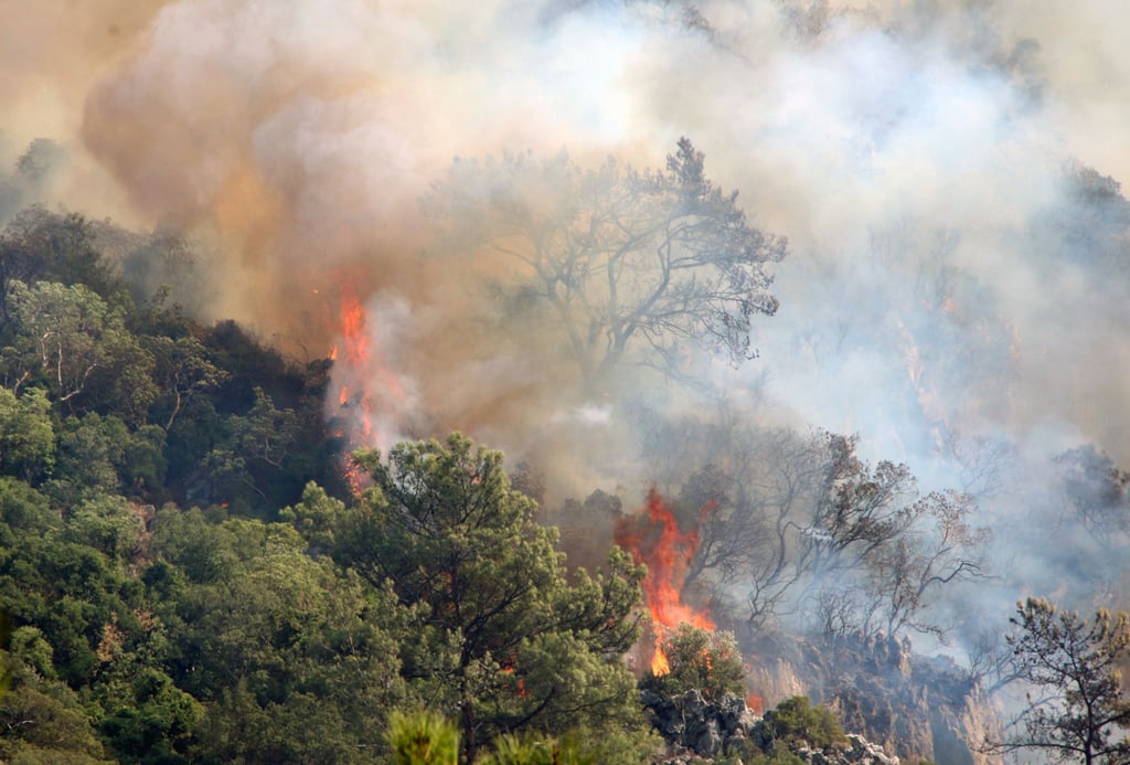 Schon im vergangenem Jahr hatte es in der Urlaubsregion Marmaris im Südwesten der Türkei starke Waldbrände gegeben. Nun sind dort erneut Feuer ausgebrochen.