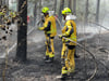 Feuerwehrleute löschen Glutnester im Landkreis Ostprignitz-Ruppin.