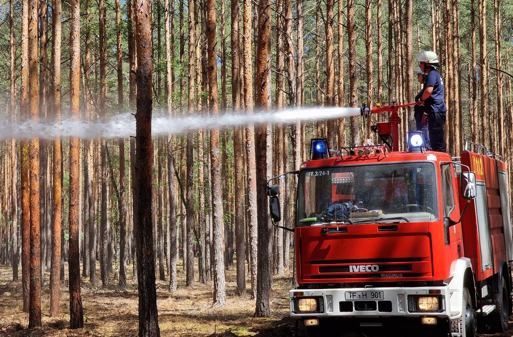Waldbrände, hier bei Berlin, sind eine große Gefahr für Anwohner und Umwelt. Die Uni Magdeburg forscht an Konzept zur schnelleren Eindämmung solcher Katastrophen.