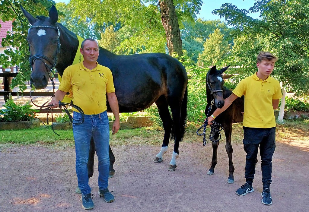 Peter Malitz (links) und Pascal Herrmann mit Soul Sister und Siegerin Rosalieh.