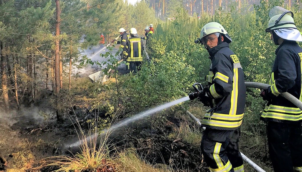 Am von Schönfeld nach Kamern führenden Postweg brannte der Waldboden in einem Kiefernbestand, hier löschen die Klietzer (vorn) und die Schönfelder. Insgesamt 58 Aktive waren im Einsatz.