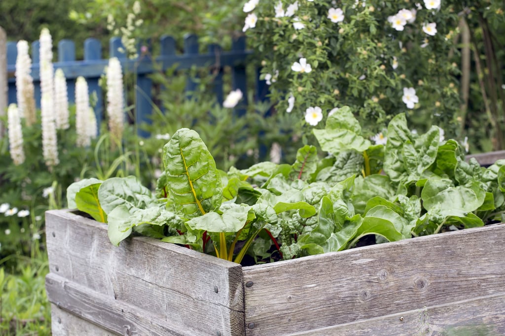 Hochbeete sind ein Hingucker im Garten.