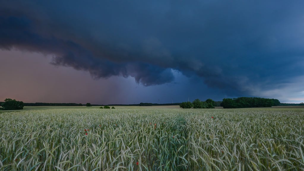 Hitze beherrscht Sachsen-Anhalt auch zu Wochenbeginn. Am Abend könnten teils heftige Gewitter etwas Abkühlung bringen.