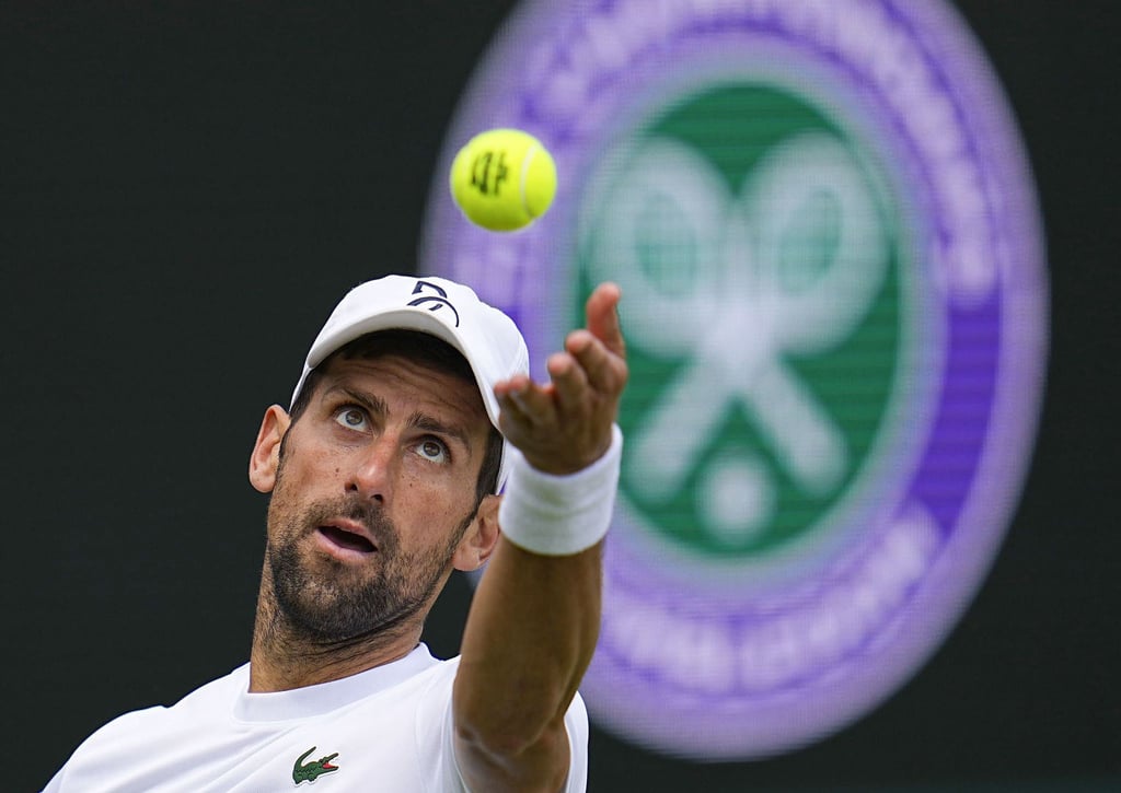 Novak Djokovic hat in Wimbledon die nächste Runde erreicht.