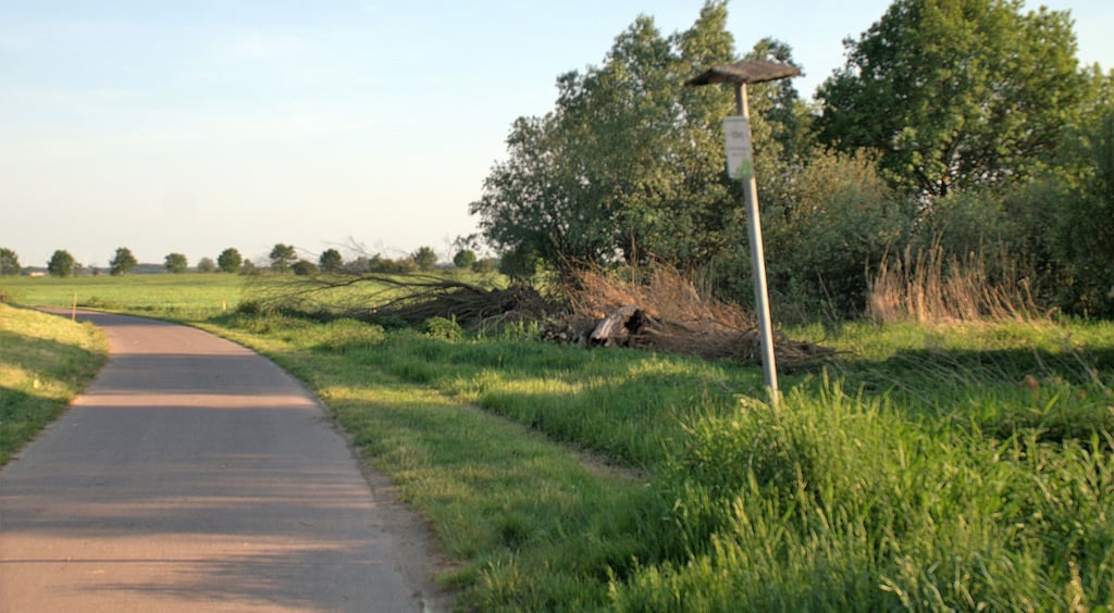 Hunderte Kilometer Gräben durchziehen die Wiesen und Wälder, wie hier am Jerichower Kloster. Diese müssen regelmäßig gepflegt werden.