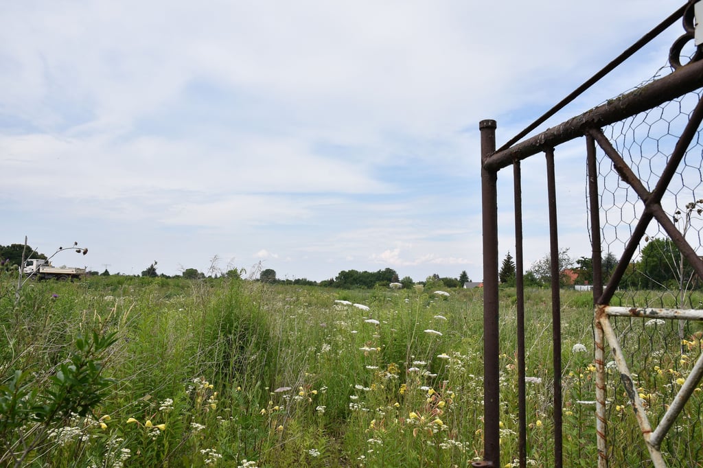 Eine beräumte Gartensparte an der Niendorfer Straße in Magdeburg soll Bauland für Eigenheime bieten.