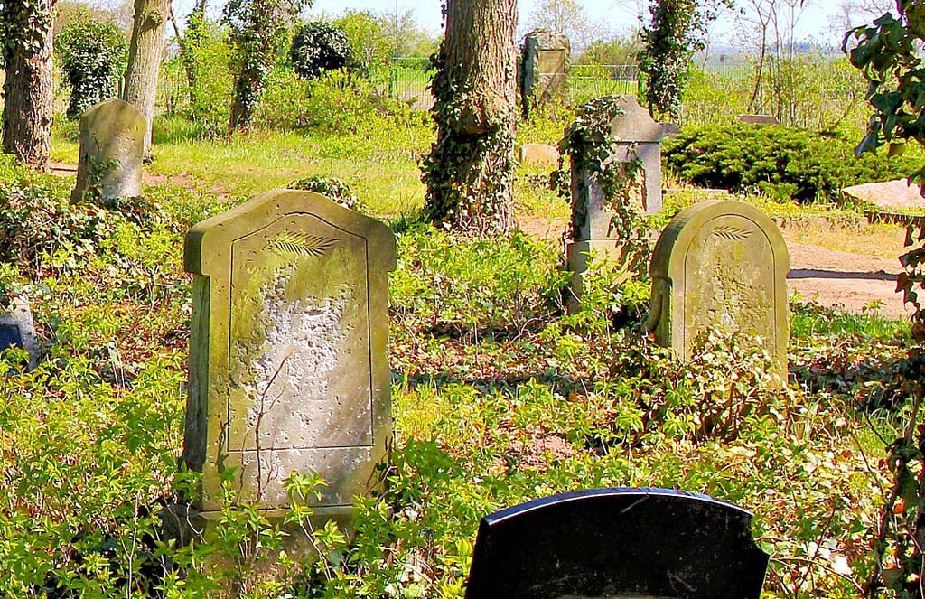 Verwilderte Friedhöfe, wie dieser Bereich auf dem Büdener Gottesacker, können romantisch wirken. Der in Räckendorf wird von der Verwaltung als vernachlässigt beschrieben.